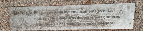 Image-20260729_112141.jpg